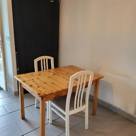 Avec Terrasse Apartment *